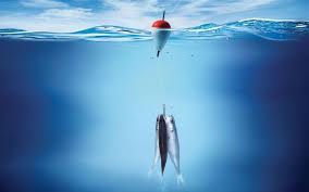Because i know, you will not be able to download all wallpapers one by all pictures are in hd. Wallpapers Fishing Wallpaper Cave