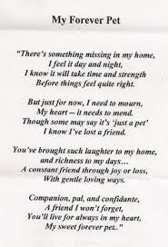 We did not find results for: Quotes About Losing Your First Pet Cat Google Search Dog Poems Losing A Pet Pet Poems