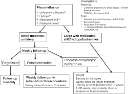 They may result from a variety of pathological processes which cases and figures. Pleural Effusion And Pulmonary Pathology Fetal Therapy