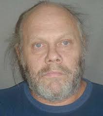 Albion pair charged with multiple felony drug counts in raid