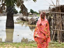 From relief efforts to ongoing research activities, the university has mobilized its resources and community to respond to the global health emergency. Covid 19 A Portal To A Better Greener Future View World Vision International