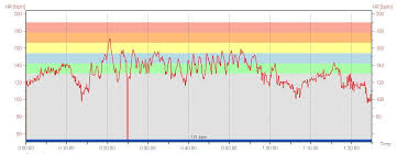 Dan Hogan Fitness Heart Rate Example Weight Training