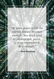 53 Best Nature Quotes Inspirational Sayings About Nature Socrates quotes on life and love. nature quotes inspirational sayings