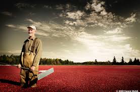 Image result for Environmental portrait”