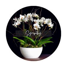 See more ideas about cleveland, ohio, cleveland ohio. Alexander S Floral Designs