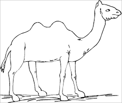 Coloring picture of funny dog with its tongue. Printable Camel Coloring Pages For Kids Coloringbay