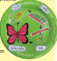 It is a story of a convict on death row, who escapes from prison and accidentally ends up traveling with a retired veteran of a police department. Kitar Hidup Haiwan Tahun 2 Science Quiz Quizizz