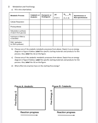 solved 2 metabolism and free energy a fill in the chart