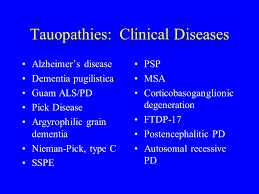 Neurodegeneration is a serious issue for boxing. Tauopathies A Contemporary Way To Consider A Set Of Neurodegenerative Diseases Based On Their Molecular Signature John Growdon M D Ppt Download