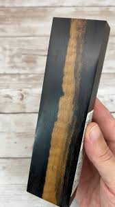 Image result for Diospyros crassiflora