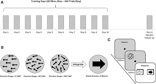 Praxis health discipline and lifestyles flashcards. Boosting Learning Efficacy With Noninvasive Brain Stimulation In Intact And Brain Damaged Humans Journal Of Neuroscience