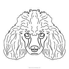 Poodle | dog coloring pages. Poodle Coloring Page Ultra Coloring Pages