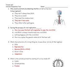 Virus And Immune System Test By Jeremy Scholz Teachers Pay Teachers