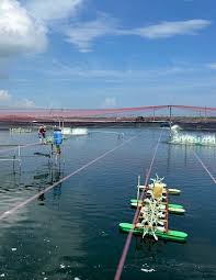 Net profits, human costs: