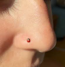 Nose Ring Solid Gold Gold Nose Ring Summer Jewelry Etsy Nose Stud Gold Nose Rings Nose Ring