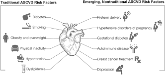 Cardiovascular Disease In Women Circulation Research