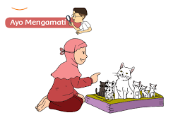 Bagaimana caramu bersyukur atas keberagaman yang ada jelaskan. Apa Saja Faktor Yang Mempengaruhi Pertumbuhan Kucing Kunci Jawaban Tema 1 Kelas 3 Sd Mi Halaman 109 Portal Jember