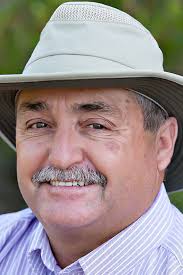 4 incumbents holding off challengers for Marana Town Council