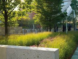 Citygarden Nelson Byrd Woltz Hardscape Design Landscape Architecture Design Landscape Design