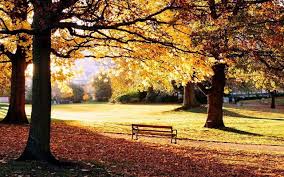 Herfst Wallpapers Herfstfoto S Achtergronden Herfst Landschap Wallpapers