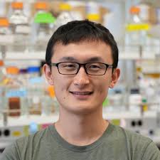 Michelson Philanthropies & Science Prize for Immunology