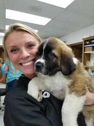 Hayden Pet Medical Center