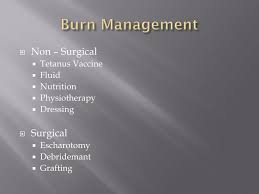 Image result for Burn Management