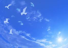 Aug 31, 2020 · background bertema kristen yang indah 1080p. Page 2 White Dove Hd Wallpapers Free Download Wallpaperbetter