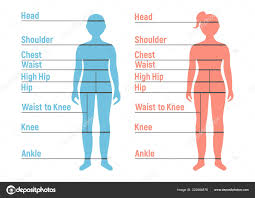 Boy Girl Size Chart Human Front Side Silhouette Isolated