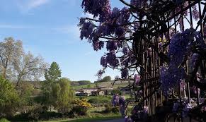 Maison D Hotes Dans Le Vignoble Du Cognac Gite De France Location Chambre Et Locations Vacances