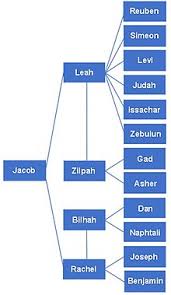 For boys and girls, kids and adults, teenagers and toddlers, preschoolers and older kids at school. Twelve Tribes Of Israel Wikipedia