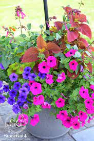The Anatomy Of A Flower Pot Stonegable Flower Pots Container Flowers Flower Pots Outdoor