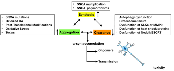 Latest breaking news, including politics, crime and celebrity. Https Www Ill Eu Fileadmin User Upload Ill 1 About Ill List Of Phd Thesis These Pounot K Pdf