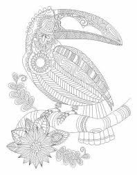 Advanced Coloring Macaw Page Animal Coloring Pages Bird Coloring Pages Relaxing Art