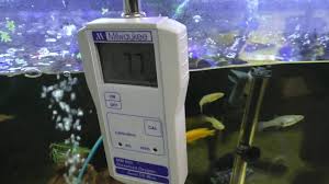 Pin On Aquarium Co Op Youtube Videos