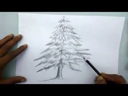 Pin By Deborah Mclamb On Watercolor Christmas Tree Drawing Christmas Tree Drawing Easy Christmas Tree Sketch