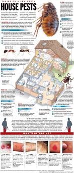 Como eliminar as baratas para sempre! 17 Best Ipm Integrated Pest Management Ideas Integrated Pest Management Pest Management Pests