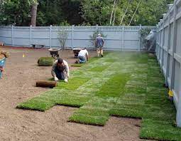 Maybe you would like to learn more about one of these? Sod Install Minneapolis Mn