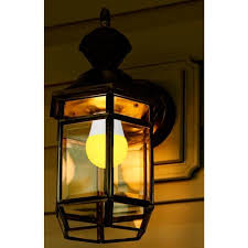 A Bug Zapper Bulb Kills Mosquitoes Top 5 Bug Zapper Light Bulbs Of 2020