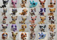 Добро пожаловать в волшебную страну лапкавилль! Authentic Lps 1373 Epagneul Littlest Petshop Chien Dog Cocker Spaniel Tan Hasbro Ebay