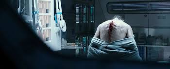 Covenant it's not that we didn't know what happened to shaw, necessarily. Alien Covenant Just Revealed A Load Of New Footage And Here S What Happens