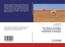 Camels produced under extensive production system reach maturity at 3 to 4 years of age 21. The Status And Major Constraints Of Camel Production In Ethiopia 978 3 659 95952 3 3659959529 9783659959523 By Yohannes Mehari