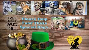 Fundraiser by Kathy N Deets : Bark from your Heart for a Lucky Dog