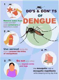Prevent dengue by avoiding mosquito bites. Essay On How To Prevent Dengue Brainly In