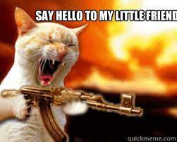 Say hello to my little friend - Scarface cat - quickmeme