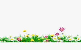 Flowers In Full Bloom Natural Environment Png And Psd Birthday Background Images Green Environmental Protection Wedding Album Templates