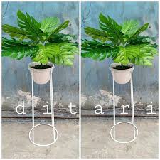 New The 72 Best Home Decor Ideas Today With Pictures Kitchen Daun Monstera Pot Besi Standing B Inspire Me Home Decor Country House Decor Trending Decor
