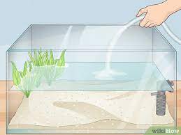 9 Ways To Make An Aquarium - Wikihow Pet