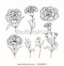Pin De Greici Hendges Em Ideias Para Tatuagens Tattoos Ideas Desenhos De Flores Tatuagens De Flores Nascimento Ilustracoes Florais