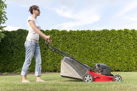 Lawn care professionals use it to save time and money by automating everyday office tasks. Your Guide To Buying Lawn Care Equipment
